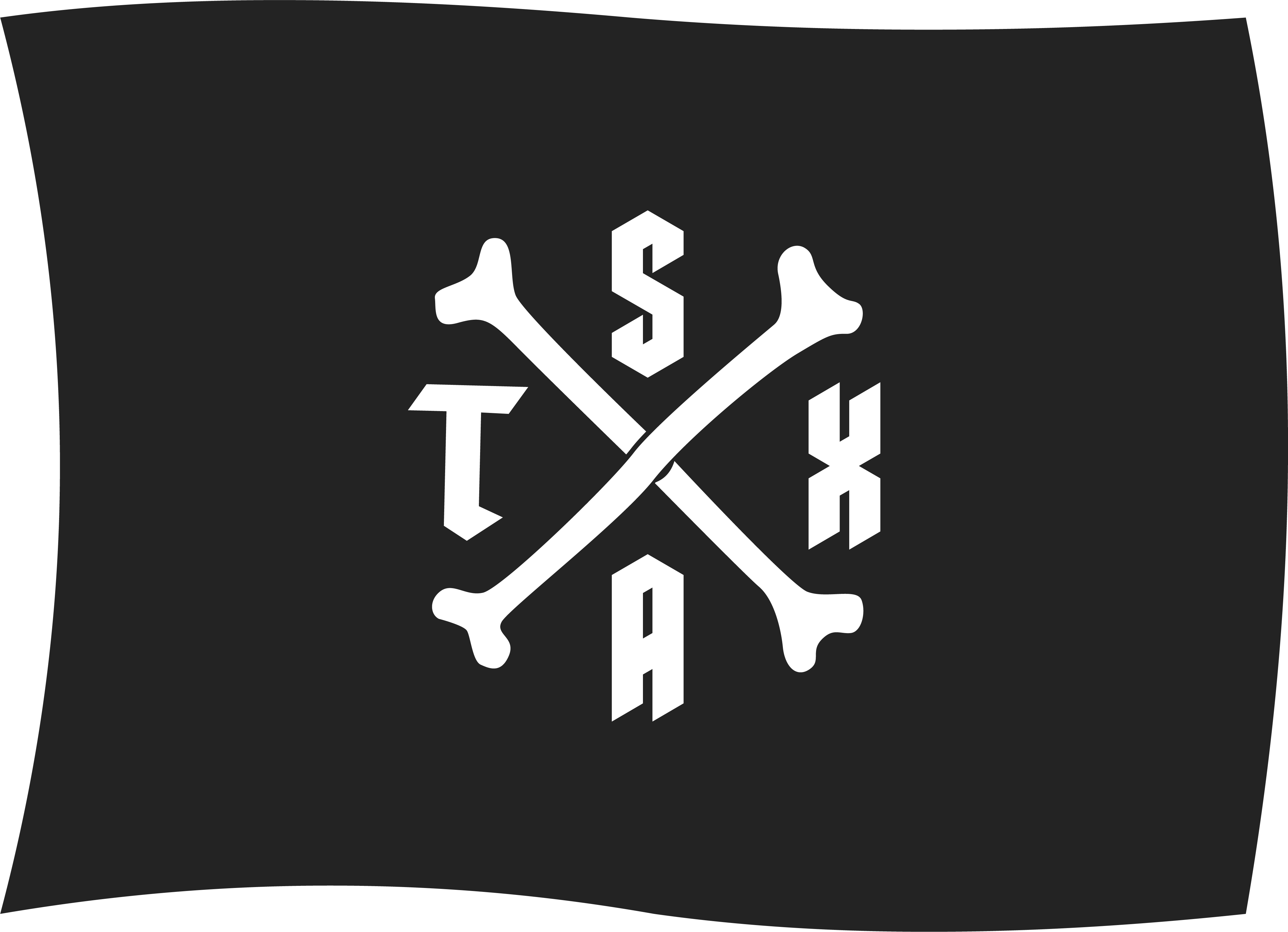 San Antonio, Texas, Bexar Bones Newsletter Icon Logo. Crossed Bones and SATX Lettering.