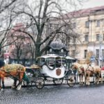 Goodbye Horse-Drawn Carriages!