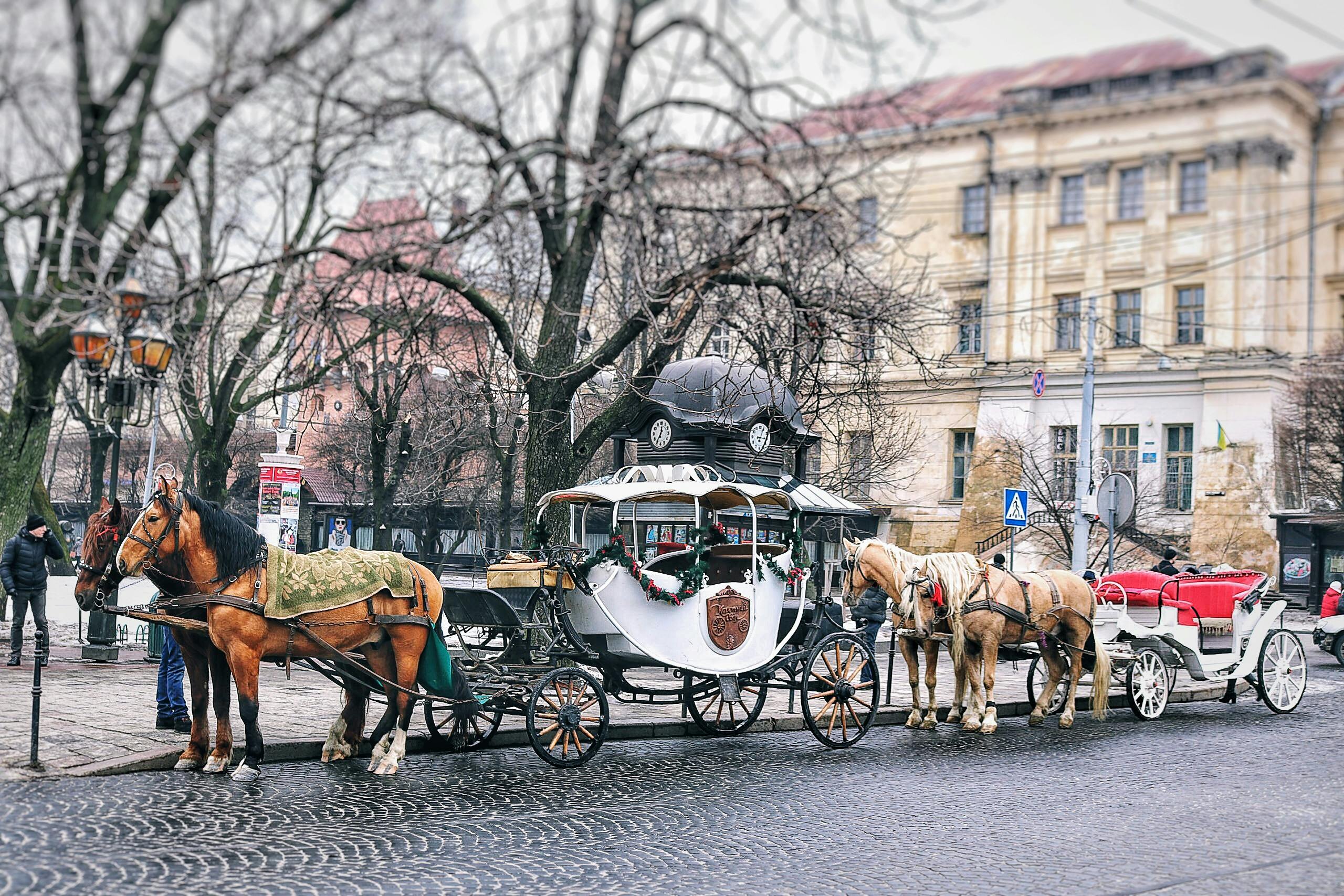 Goodbye Horse-Drawn Carriages!